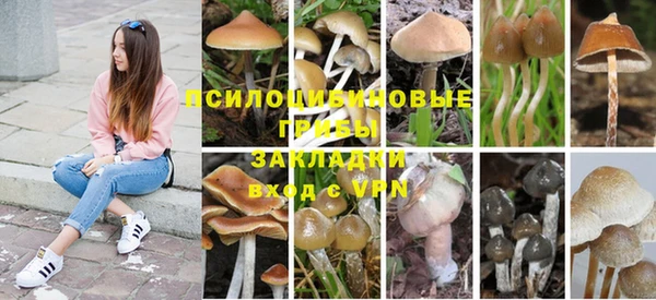apvp Баксан