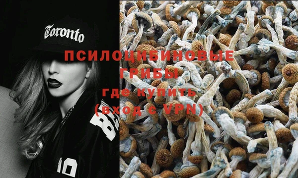 ECSTASY Балабаново