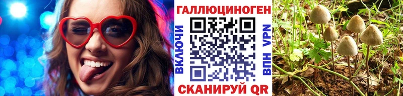 это Telegram  Великие Луки  Галлюциногенные грибы Magic Shrooms 