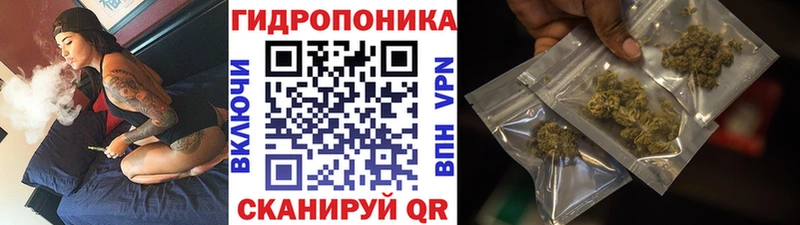 MEGA как зайти Великие Луки МАРИХУАНА LSD WEED
