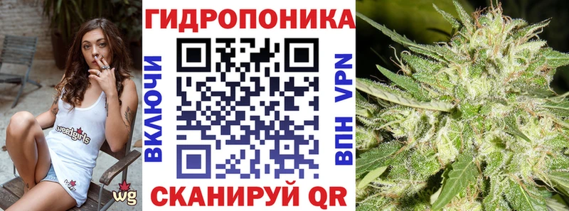 Бошки марихуана OG Kush Великие Луки